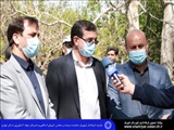 طاهری فرماندار شهریار:سرمازدگی محصولی را بر درختان باغات شهریار باقی نگذاشته است/ باغداران نیازمند همیاری ویژه مسؤولان عالی هستند