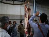 بازدید از کشتارگاه های بخش کهریزک / ۴ لاشه گوساله توقیف شد