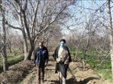 اهتمام جدی مسئولان جهت رفع موانع و گرفتاری‌های پیش روی تولیدکنندگان در شهر آبسرد