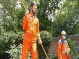 تندیس پاکبان در دماوند رونمایی شد
