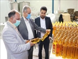 گزارش تصویری| بازدید فرماندار قرچک از کارخانه روغنکشی «نیری» در شهرک صنعتی