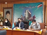 معاون اقتصادی استاندار تهران خبر داد؛ جذب ۱۰۰ ‪درصدی تسهیلات اشتغال روستایی و مشاغل خانگی در استان تهران