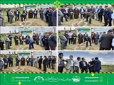 کلنگ آغاز عمليات اجرايی احداث جایگاه عرضه سوخت فیروزکوه به زمین زده شد