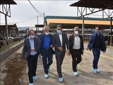  کارگروه ستاد تسهیل و رفع موانع تولید شهرستان پاکدشت 