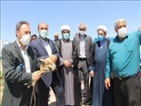 ️ بازدید فرماندار از روند برداشت محصول استراتژیک گندم در پیشوا/ لزوم همکاری کشاورزان با دولت برای حذف واسطه‌گری و قاچاق