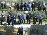 بررسی شرایط عملکرد باغداران منطقه دماوند جهت دریافت گواهی محصول سالم از سازمان استاندارد