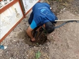 ۴۰۵ انشعاب غیرمجاز آب در شهرستان ری شناسایی شد