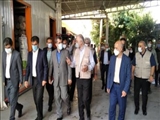 بازدید معاون هماهنگی امور اقتصادی و توسعه منطقه ای وزارت کشور از سه شرکت تولیدی با هدف رفع موانع تولید