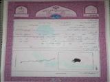 اخذ سند مالکیت 96 هکتار از بستر رودخانه جاجرود توسط امور آب ورامین