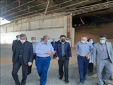 معاون استاندار تهران: بازسازی و نوسازی کارخانجات آرد استان تهران اجتناب ناپذیر است
