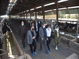 گزارش تصویری جلسه کارگروه ستاد تسهیل و رفع موانع تولید شهرستان پاکدشت 
