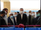  افزایش ۱۵ درصدی میانگین واکسیناسیون شهرستان دماوند نسبت به کل کشور 