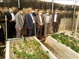 افتتاح یک واحد گلخانه صنعتی در پاکدشت با حضور استاندار تهران