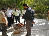 انسداد هفت حلقه چاه غیرمجاز طی یک روز کاری توسط امور آب تهران
