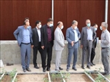 بررسی مشکلات واحدهای گلخانه‌ای شهرستان قرچک با حضور معاون عمرانی استانداری تهران