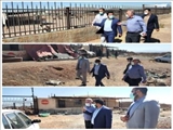 بازدید شهردار پرند از مرکز نگهداری سگ های بی پناه  دکتر اله یاری: ساماندهی سگ های بی پناه با جدیت پیگیری می شود