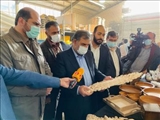 معاون امور اقتصادی رئیس جمهور: تشکیل دایره تنقیح قوانین در مجلس/ دولت سیزدهم موانع تولید را شناسایی و از پیش پای کارآفرینان بر می‌دارد