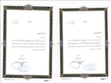 تقدیر معاون آمار و اطلاعات سازمان مدیریت و برنامه ریزی استان تهران از رابط آماری شهرداری باقرشهر