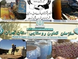 خرید تضمینی بیش از ۱۲ هزارتن سیب صنعتی توسط شبکه تعاون روستایی تهران و شمیرانات