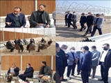 به گزارش روابط عمومي سازمان جهاد کشاورزی استان تهران، علیرضا بزرگی مدیرعامل شرکت شهرک های کشاورزی کشور به همراه تاجیک معاون بهبود تولیدات گیاهی سازمان جهاد کشاورزی استان، امیری مدیر باغبانی جهاد کشاورزی استان و کریمی معاون برنامه ریزی و توسعه کارآفرینی سازمان نظام مهندسی کشاورزی استان تهران از روند اجرای شهرک گلخانه ای حصارگلی و شهرک مهستان در شهرستان های ورامین و پاکدشت بازدید کردند.  بزرگی ضمن بازدید از قسمت های مختلف شهرک گلخانه ای حصارگلی که بزرگترین شهرک گلخانه ای استان تهران نیز به شمار می رود، با صاحبان این واحدها گفتگو کرد و در جریان مسائل و مشکلات پیش رو قرار گرفت.  فرامرزی سرپرست شعبه شرکت شهرک های کشاورزی استان گزارشی از روند کار ارائه داد و گفت: حصارگلی یکی از بزرگترین شهرک‌های گلخانه‌ای کشور به شمار می رود که باتوجه به نزدیکی آن به بازارهای تقاضا در استان تهران و وجود زنجیره‌های صادراتی در این استان می‌تواند از موفق‌ترین مجموعه‌های تولید محصولات گلخانه‌ای در کشور باشد.  وی ادامه داد: فاز اول شهرک گلخانه‌ای حصارگلی با مساحت ۱۲۰ هکتار در قالب۷۴ قطعه 1.4 هکتاری در جنوب شرق استان تهران در حال واگذاری بوده و تا کنون بالغ بر ۴۲ قطعه از آن واگذار شده است.  بزرگی ضمن تاکید بر بسیج امکانات و دانش و توانایی مجموعه شرکت شهرک ها در جهت حل مشکلات در اسرع وقت، خواستار ایجاد  ساختارهای زنجیره ای به منظور کاهش هزینه های تولید و افزایش بهره وری و برندسازی محصول گلخانه ای شد.