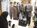 بازدید  سرپرست فرمانداری اسلامشهر از سه شرکت تولیدی و صنعتی در بخش چهاردانگه 