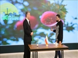 55 درصد از تخریب های استان تهران مربوط به دماوند است