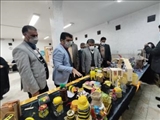 بازدید فرماندار پیشوا از نمایشگاه دستاوردهای دانش‌آموزی در آموزشگاه کارآفرین