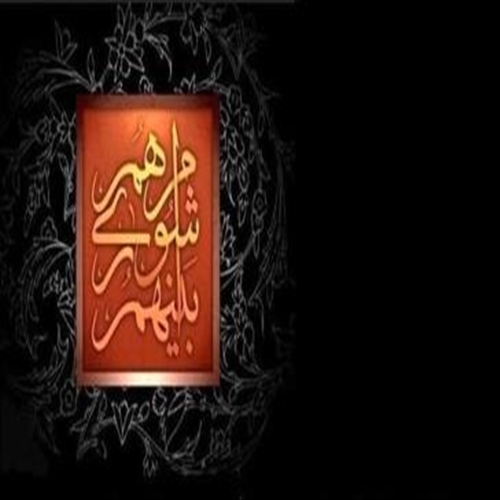 رئیس جدید شورای اسلامی شهر لواسان معرفی شد 