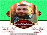 پنجشنبه های شهدایی   
