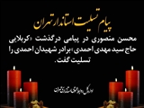 پیام تسلیت استاندار تهران در پی درگذشت برادر 