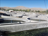 بررسی وحل مشکلات آبزی پروران شهرستان فیروزکوه باآب منطقه ای استان تهران