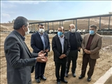 تولید روزانه 25 تن شیر در یک واحد دامداری سنگین شهرستان پردیس 