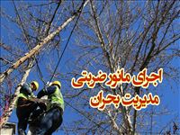 برگزاری مانور ضربتی منطقه برق سینا با هدف اصلاح و بهینه سازی شبکه توزیع برق تهران بزرگ