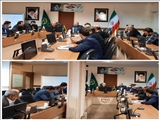 انجام حدود47هزار بازرسی از واحدهای صنفی در 6ماه اخیر/افزایش 59درصدی جوجه ریزی در استان تهران نسبت به فروردین1400