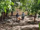 انسداد 8 حلقه چاه غیرمجاز در تهران 