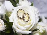 اهدای 467 فقره کمک هزینه ازدواج به مددجویان تهرانی