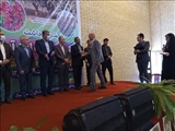 کیل‌گیری محصول سیب درختی از باغ ۱۸ هکتاری در شهرستان دماوند