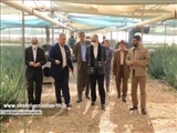 بازدید فرماندار شهریار از مجموعه تولید آلوئه ورای کشت و صنعت معروف خانی