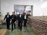 بازدید فرماندار ملارد از یک واحد تولیدی فعال