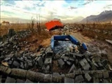 ۱۰۰ هکتار از اراضی کشاورزی مرغوب یک روستای دماوند از ساخت و سازهای غیرمجاز آزادسازی شد