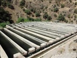 تولید بیش از 15 درصد ماهیان خوراکی استان تهران در شهرستان های جنوب غرب استان