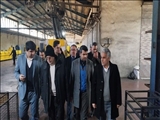 بازدید معاون استاندار تهران از چند شرکت تولیدی فیروزکوه 