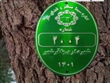 به زودی طرح پلاک کوبی درختان در باقرشهر آغاز خواهد شد