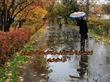 ثبت بیش از 11 میلی متر بارش در استان تهران در ابتدای دی ماه سال جاری / کاهش 37 درصدی بارش ها نسبت به سال گذشته