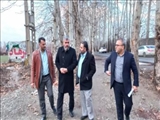 بازدید میدانی مدیرکل دفتر فنی استانداری تهران از محدوده حادثه خیز جاده چیتگر ملارد 