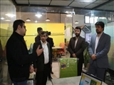 بازدید معاون اقتصادی استاندار تهران از باغ نوآوری ورامین/ علی‌مهری: حمایت استانداری تهران از 4300 شرکت دانش بنیان استان