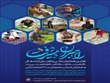 معاون اشتغال و خودکفایی کمیته امداد استان تهران؛ همکاری 254 راهبر شغلی با کمیته امداد استان تهران