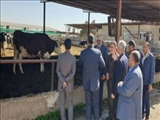جلسه کارگروه ستاد تسهیل و رفع موانع تولید شهرستان پاکدشت برگزار شد