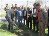 مراسم غرس نهال ایثار با حضور فرماندار در جوار شهدای گمنام قرچک برگزار شد