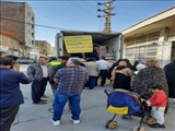 توزیع بیش از ۴۴۳تن کالای اساسی در شهرستان ملارد/ توزیع ۱۰۰ تن میوه تنظیم بازاری در هفته جاری